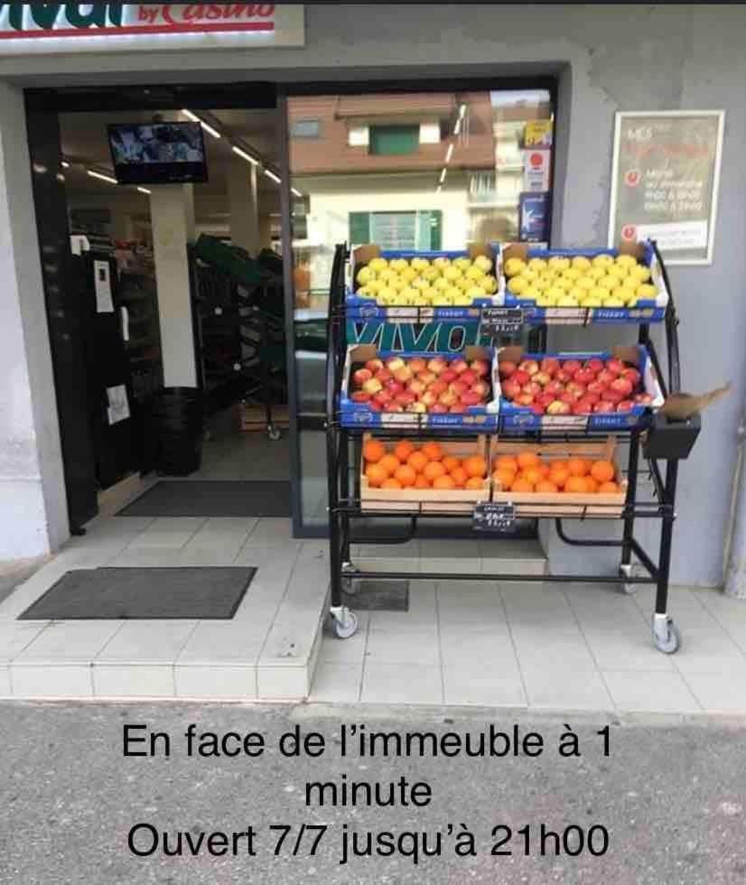 Ferienwohnung Mont Royal Balcon Et Piscine Annecy Exterior foto